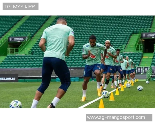 奥地利与巴西精彩对决全场录像回放尽在此处观看